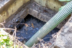 Septic Tank Cleaning, Mulberry, FL