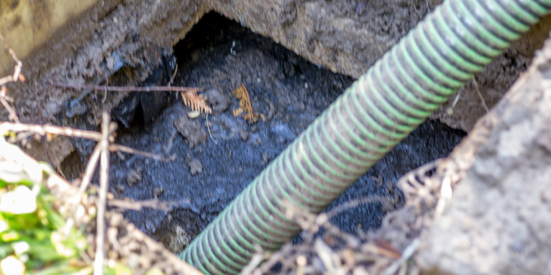 Septic Tank Maintenance in Haines City, Florida