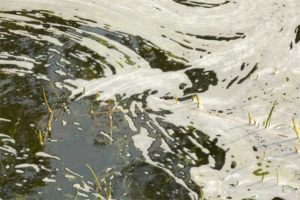 Septic Tank Cleaning in Lakeland, FL