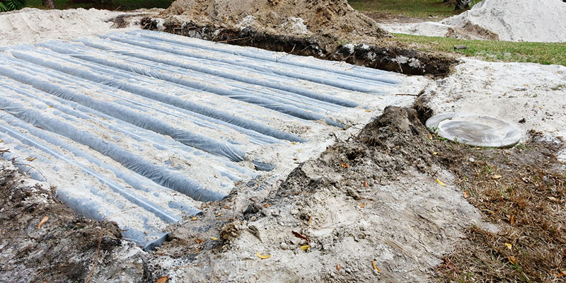 Do You Need a Drain Field Repair? Here’s How to Tell