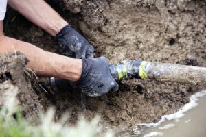 Plumber Repairing a Broken Pipe in a Septic Field