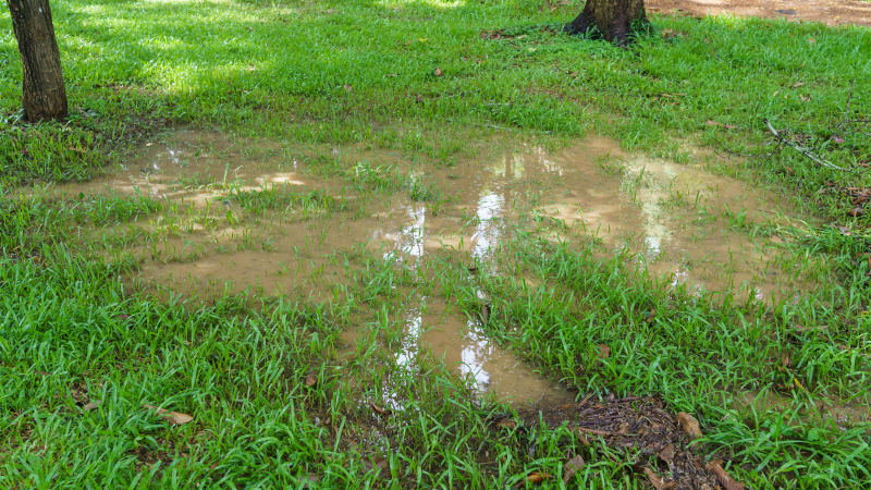 Flooded Yards and Odors: The Signs You Need A Sump Pump Repair 