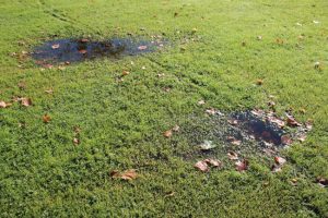 Sump Pump Repair 101